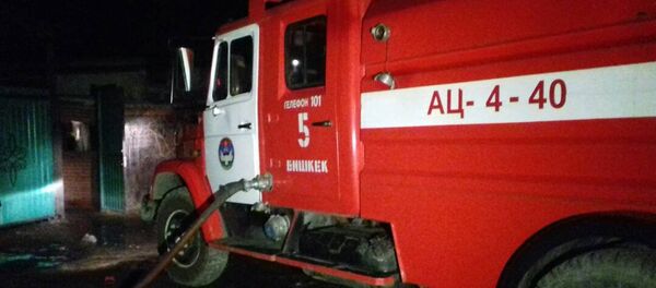 Пожар в центре отдыха Причал 24 в Бишкеке - Sputnik Кыргызстан