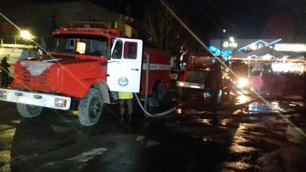 Пожар в центре отдыха Причал 24 в Бишкеке - Sputnik Кыргызстан