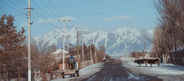 Кемин районундагы Кызыл-Байрак айылыныен башкы жолу - Sputnik Кыргызстан