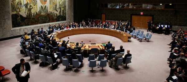 Заседание Совбеза ООН 24 февраля - Sputnik Кыргызстан