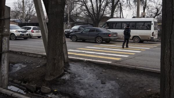 Неправильные бишкекские пешеходные переходы - Sputnik Кыргызстан