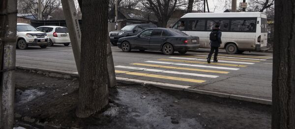 Пешеходный переход через улицу Элебесова (бывшая Советская). Архивное фото Пешеходный переход через улицу Элебесова (бывшая Советская). Архивное фото - Sputnik Кыргызстан