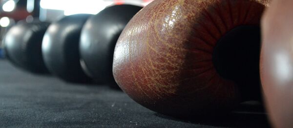 Боксерские перчатки - Sputnik Кыргызстан