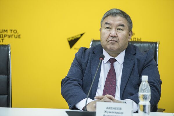 Доктор экономических наук Жумакадыр Акенеев в ходе видеомоста - Sputnik Кыргызстан