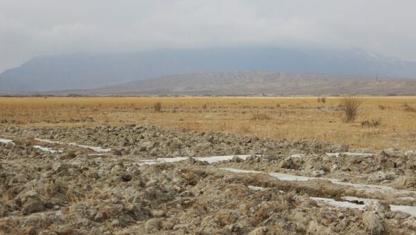 Неизвестные раскопали корни солодки на 30 гектарах в Тонском районе - Sputnik Кыргызстан