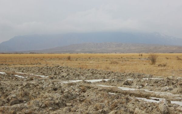 Происшествие случилось на выпасах участка Саз села Кок-Мойнок Тонского района - Sputnik Кыргызстан