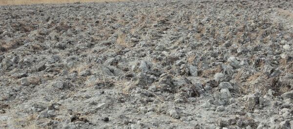 В Иссык-Кульской области неизвестные привели в негодность 30 гектаров пастбищ - Sputnik Кыргызстан