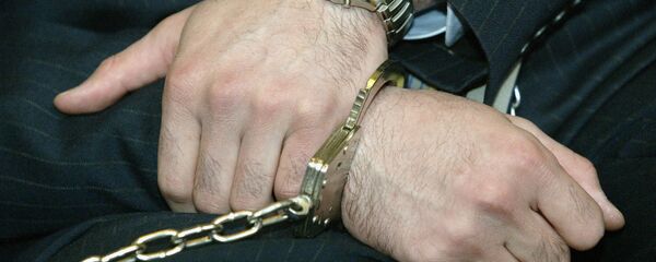 Суд над Рамилем Сафаровым в Будапеште - Sputnik Кыргызстан