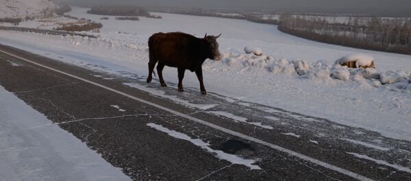 Регионы России. Республика Тыва - Sputnik Кыргызстан
