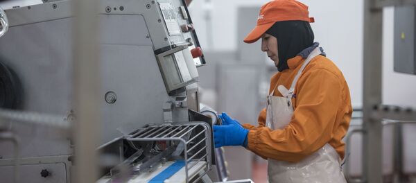 Работа колбасного завода в Бишкеке - Sputnik Кыргызстан