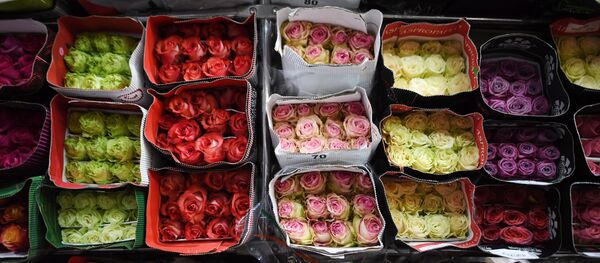 Продажа цветов накануне 8 марта - Sputnik Кыргызстан