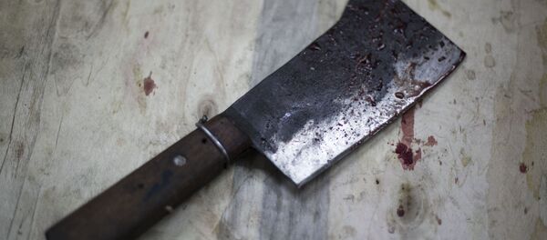 Испачканный кровью тесак для мяса. Архивное фото - Sputnik Кыргызстан
