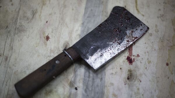 Испачканный кровью тесак для мяса. Архивное фото - Sputnik Кыргызстан