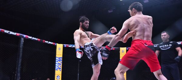 Турнир по смешанным единоборствам WEF Global 11 в Бишкеке - Sputnik Кыргызстан