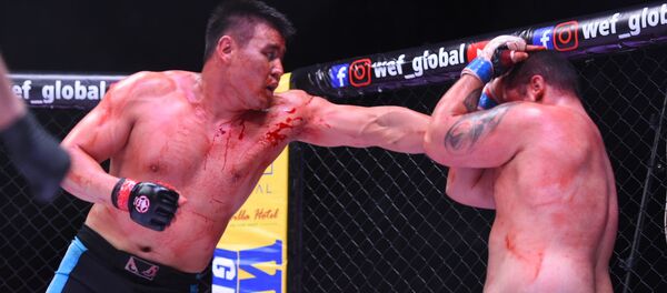 Турнир по смешанным единоборствам WEF Global 11 в Бишкеке - Sputnik Кыргызстан