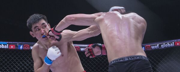 Турнир по смешанным единоборствам WEF Global 11 в Бишкеке - Sputnik Кыргызстан