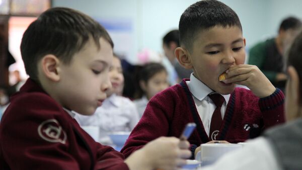 Вопрос горячего питания в Новопокровской школе №1 - Sputnik Кыргызстан