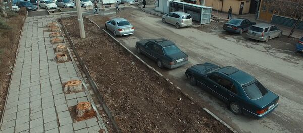 Таштандыдан эмес, бак-дарактан тазаланган Бишкек. Тыныстанов көчөсүнүн көрүнүшү - Sputnik Кыргызстан