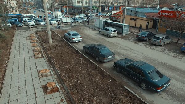 Как зеленая улица Бишкека превратилась в пустырь — видео с дрона - Sputnik Кыргызстан