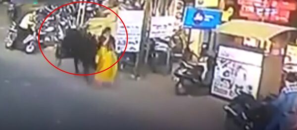 В Индии бык напал на женщину, подбросив ее в воздух — шокирующее видео В Индии бык напал на женщину, подбросив ее в воздух — шокирующее видео - Sputnik Кыргызстан