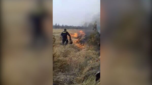 Милиционеры поликами тушили пожар в Бишкеке — видео очевидца - Sputnik Кыргызстан