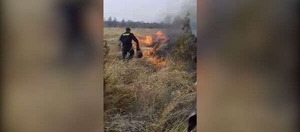 Бишкекте милиционерлер өрттү кол менен өчүрдү. Күбөнүн видеосу Бишкекте милиционерлер өрттү кол менен өчүрдү. Күбөнүн видеосу - Sputnik Кыргызстан