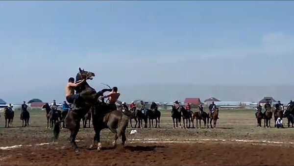 Конь ударом копыта выбил всадника из седла — зрелищное видео из Сузака - Sputnik Кыргызстан