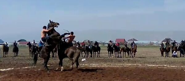 Конь ударом копыта выбил всадника из седла — зрелищное видео из Сузака Конь ударом копыта выбил всадника из седла — зрелищное видео из Сузака - Sputnik Кыргызстан