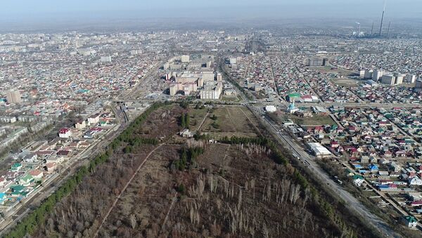 Көз арткандар көбөйүп бара жаткан Ботаникалык бактын асмандан көрүнүшү - Sputnik Кыргызстан
