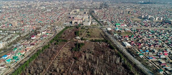 Ботанический сад на улице Горького в Бишкеке - Sputnik Кыргызстан