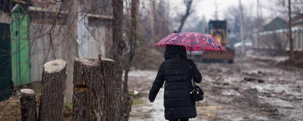 Кол чатыр көтөрүп көчөдө бараткан аял. Архив - Sputnik Кыргызстан