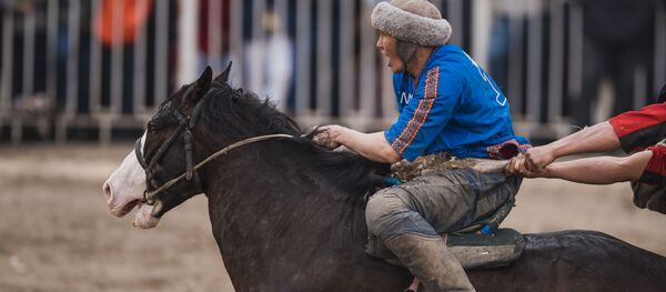 Ынтымак командасынын оюнчусу Урмат Раушан уулу Ахиллес аттуу аргымагы менен - Sputnik Кыргызстан