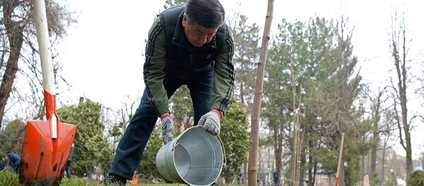 Субботник в Дубовом парке им.Ч.Айтматова в Бишкеке Субботник в Дубовом парке им.Ч.Айтматова в Бишкеке - Sputnik Кыргызстан