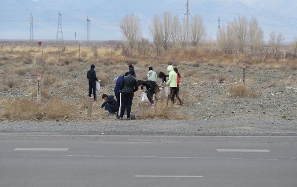 Также была очищена близлежащая территория озера Чатыр-Куль в Нарынской области. - Sputnik Кыргызстан