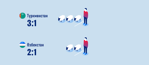 Кыргызстандагы кой-эчки - Sputnik Кыргызстан