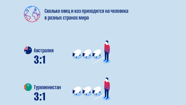 Овцы и козы в Кыргызстане - Sputnik Кыргызстан