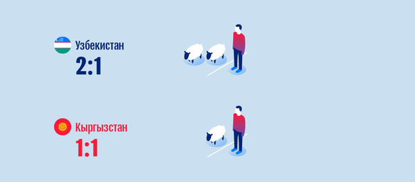 Овцы и козы в Кыргызстане - Sputnik Кыргызстан