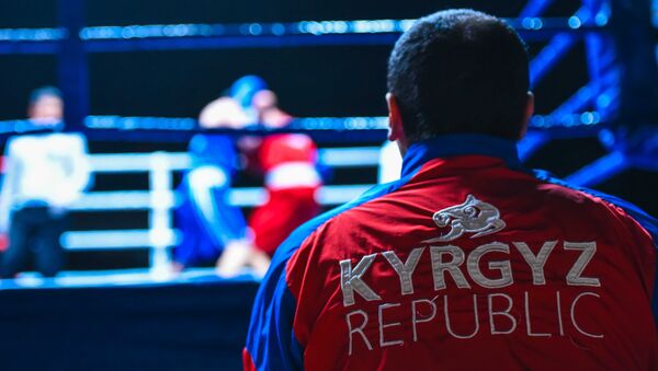Встретимся на ринге! Спортсмены, прославляющие Кыргызстан своими кулаками - Sputnik Кыргызстан