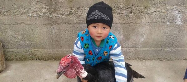 Оштун Ноокат районуна караштуу Кара-Таш айылында жашоочусу, 4 жашар Абдулбарри Илязов - Sputnik Кыргызстан