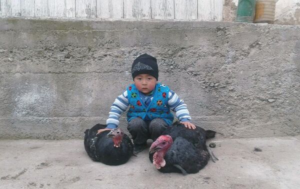Абдулбарри ничего не боится, шустрый и крепкий мальчик. Играет со всеми животными во дворе. - Sputnik Кыргызстан