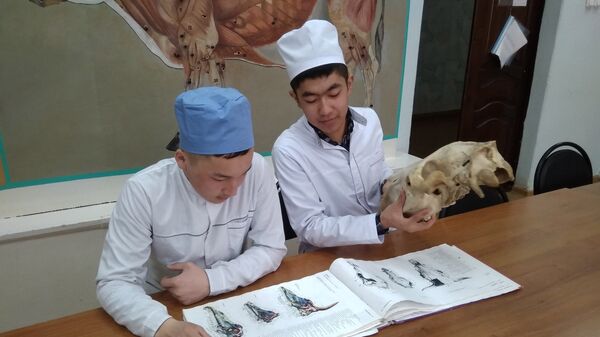 Студенты-аграрии из Кыргызстана поехали на обучение в ведущий сельскохозяйственный вуз России. Архивное фото - Sputnik Кыргызстан