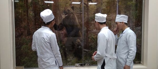 Обучение студентов из КР в ведущий сельскохозяйственных вузов России - Sputnik Кыргызстан