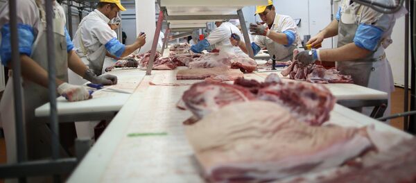 Мясоперерабатывающий комбинат Кубань в Краснодарском крае - Sputnik Кыргызстан