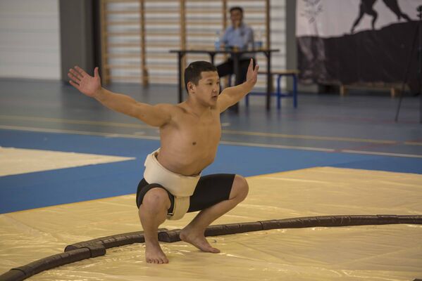 Чемпионат по сумо в Бишкеке - Sputnik Кыргызстан