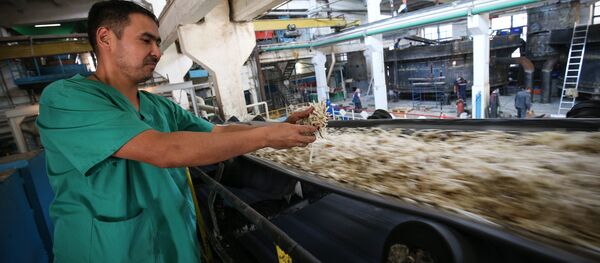 Сахарный завод Свобода в Краснодарском крае - Sputnik Кыргызстан