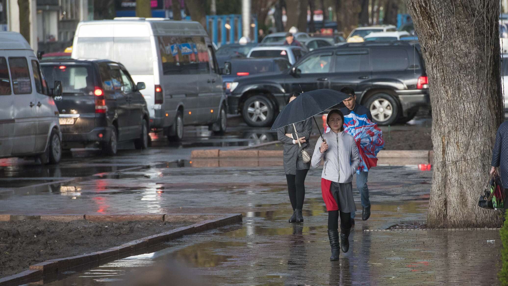 Температура в бишкеке. Дождь в Беларуси. Дождь в Кыргызстане. Дождливая погода фото. Ливень в Бишкеке.