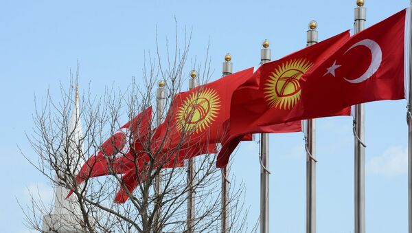 Кыргызстандын жана Түркиянын желектери. Архив - Sputnik Кыргызстан