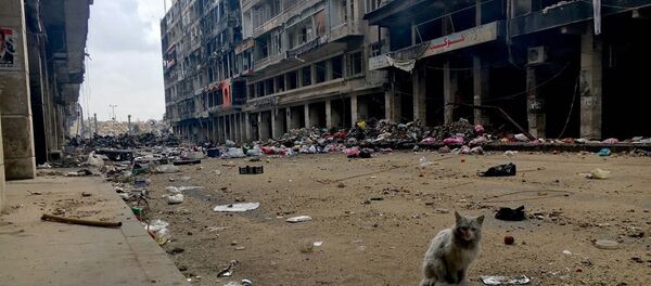 На одной из улиц в историческом центре (Старом городе) в Алеппо. Архивное фото - Sputnik Кыргызстан