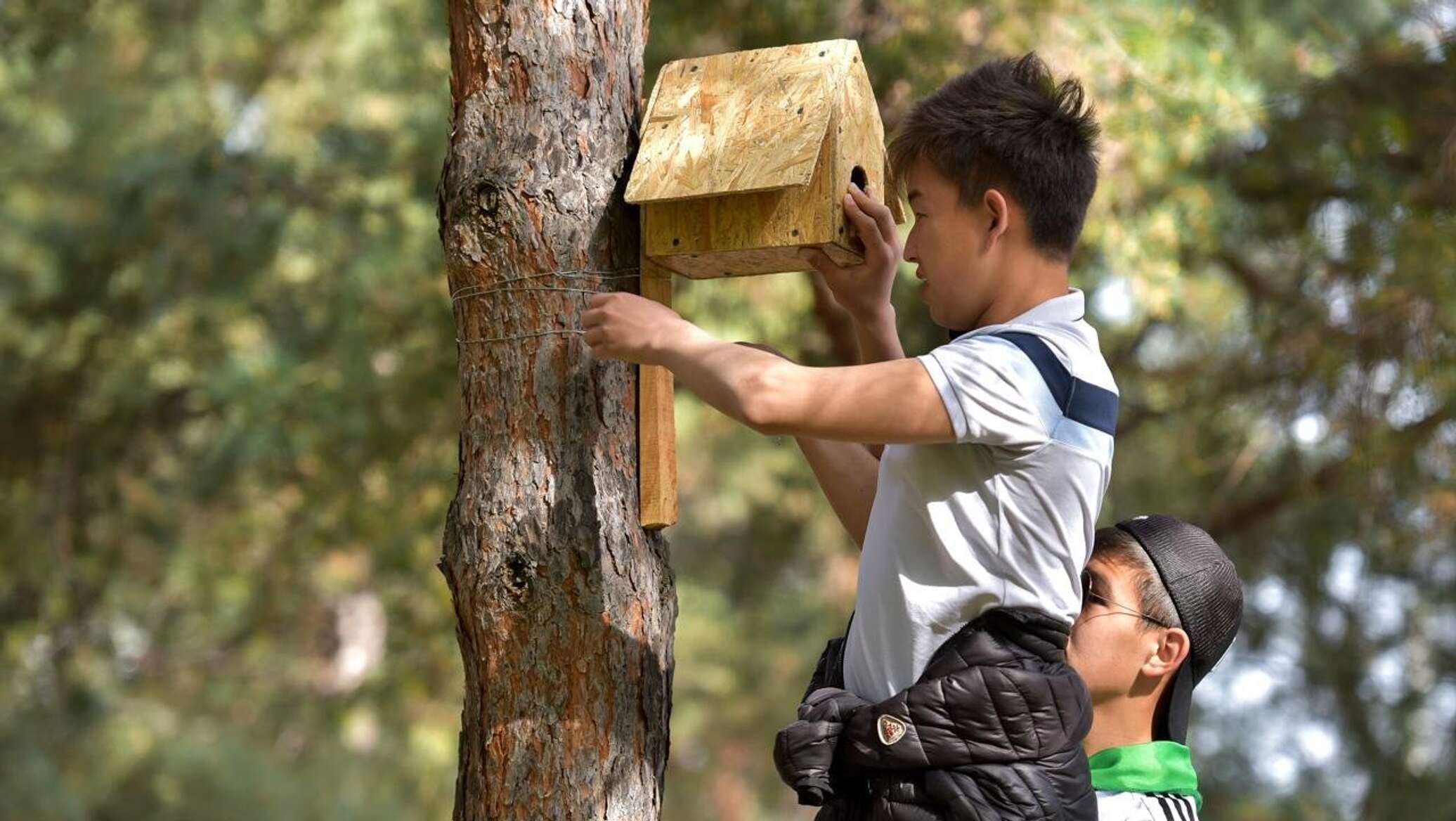 Друзья смастерили скворечник и повесили. Скворечник для детей. Скворечники в парке. Человек в скворечнике. Мастерить скворечник.