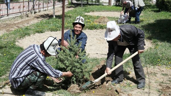 Посадка 80 саженцев деревьев в Оше - Sputnik Кыргызстан